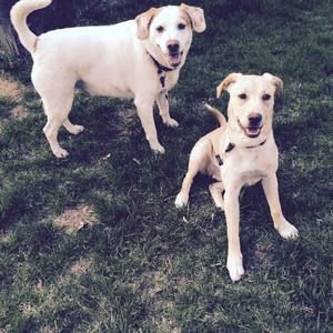 Meet your Posher, Juanita